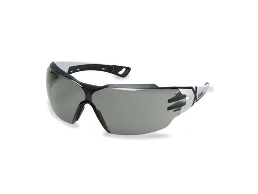 [90179119 1235513] uvex Schutzbrille Pheos cx2, Grau