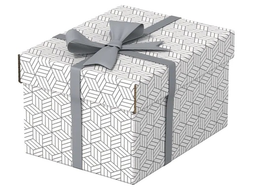 [90180103 1226999] Leitz Aufbewahrungsbox Esselte Home S Klein, 3 Stück, Weiss