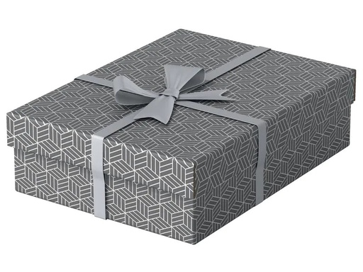 [90180535 1227004] Leitz Aufbewahrungsbox Esselte Home M flach Mittel, 3 Stück, Grau