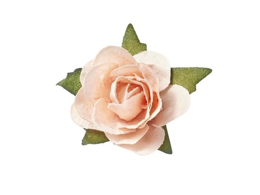 [90181555 1237654] HobbyFun Streudeko Rosen 20 Stück, Aprikose