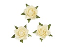 HobbyFun Streudeko Rosen 20 Stück, Creme