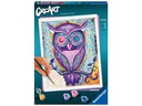 Ravensburger Malen nach Zahlen Serie C Dreaming Owl