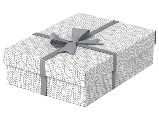 [90182964 1227003] Leitz Aufbewahrungsbox Esselte Home M flach Mittel, 3 Stück, Weiss