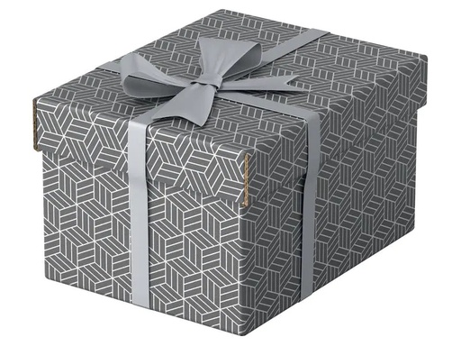 [90185242 1227000] Leitz Aufbewahrungsbox Esselte Home S Klein, 3 Stück, Grau