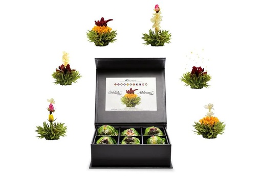 [90185622 1250466] Creano Erblühtee grüner Tee fruity flavor 6er Magnetbox