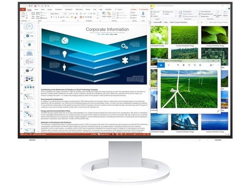 [90187743 1260894] EIZO Monitor EV2485 Swiss Edition Weiss