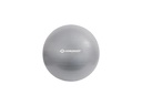 Schildkröt Fitness Gymnastikball 55 cm
