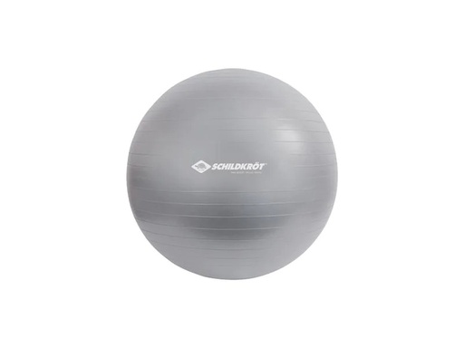 [90188049 1166823] Schildkröt Fitness Gymnastikball 65 cm