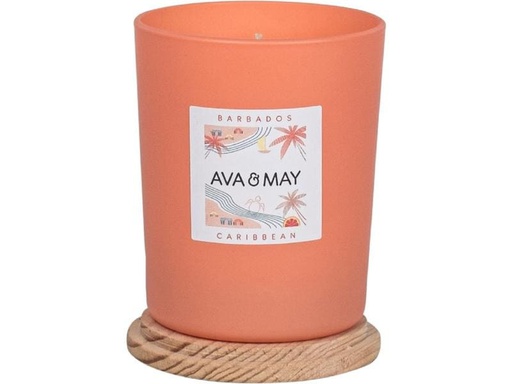 [90190308 1221031] AVA &amp; MAY Duftkerze Barbados 180 g