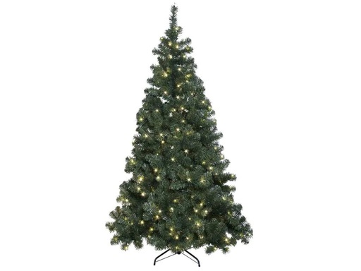 [90190855 310616] Star Trading Weihnachtsbaum Ottawa 260 LED, 2.1 m