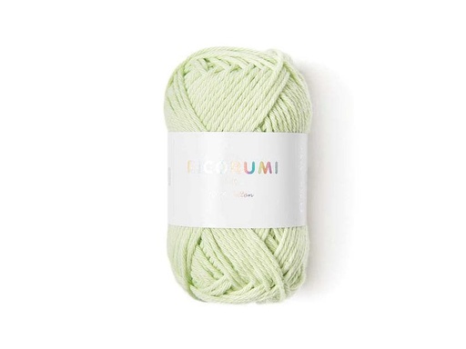 [90028832 1208355] Rico Design Wolle Creative Ricorumi DK 25 g, Pastellgrün