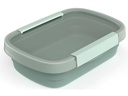 Rotho Vorratsbehälter Eco 0.8 l, Grün