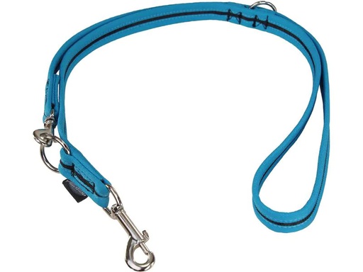 [90202949 1281294] Grossenbacher Hundeleine 180 cm, 25 mm, Schwarz/Türkis