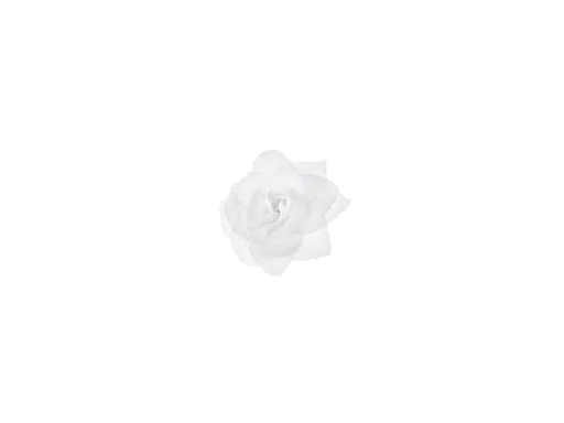 [90203360 1279993] Partydeco Hochzeitsaccessoire Autodekoration Rose Selbstklebend Weiss