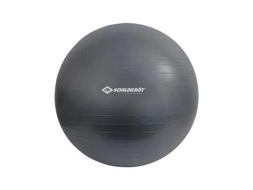 [90206434 1166821] Schildkröt Fitness Gymnastikball 85 cm