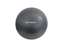 Schildkröt Fitness Gymnastikball 75 cm