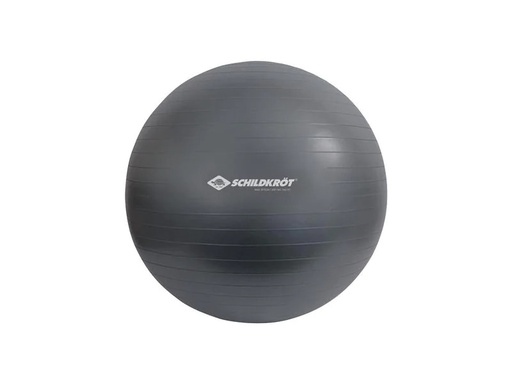 [90206520 1166822] Schildkröt Fitness Gymnastikball 75 cm