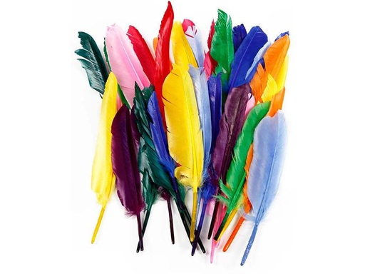 [90208244 1280647] Creativ Company Federn 17 - 20 cm 250 Stück