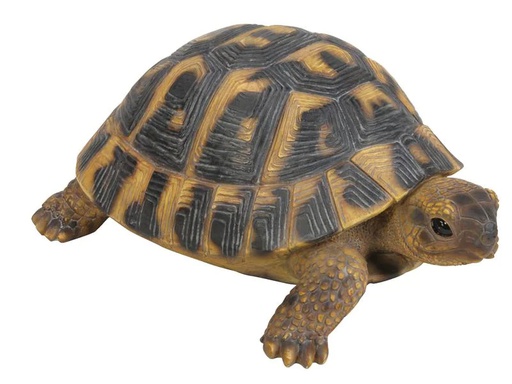 [90209228 1298898] Vivid Arts Dekofigur Landschildkröte