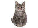 Vivid Arts Dekofigur Katze Tabby