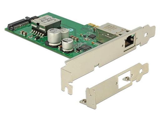 [90032998 1013946] Delock Netzwerkkarte  mit PoE+ Unterstützung