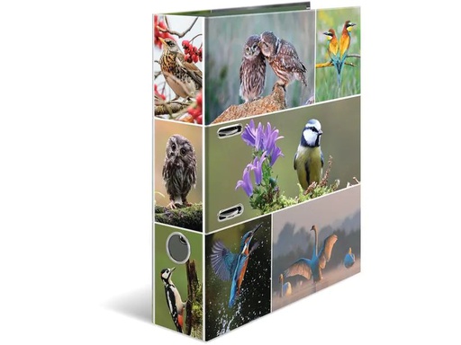 [90212789 1316898] HERMA Ordner Heimatvögel 7 cm, Mehrfarbig