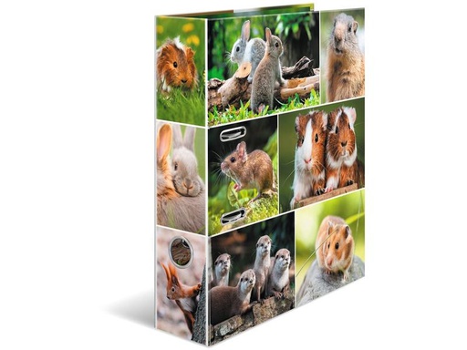 [90212811 1316896] HERMA Ordner Nagetiere 7 cm, Mehrfarbig
