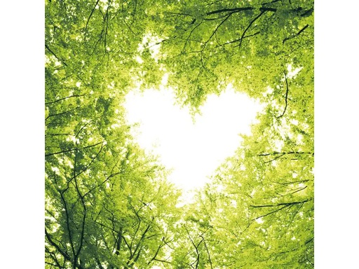[90214150 1316306] Paper + Design Papierservietten Nature Love 33 cm x 33 cm, 20 Stück