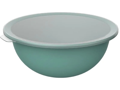 [90215799 1325854] Rotho Schüssel Caruba 30.5 cm, Grün