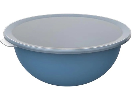[90215899 1325853] Rotho Schüssel Caruba 30.5 cm, Blau
