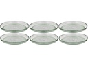 Bitz Frühstücks- & Dessertteller Kusintha Ø 25 cm, 6 Stück, Grün