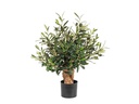 Botanic-Haus Kunstpflanze Olivenbaum 56 cm