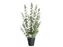 Botanic-Haus Kunstpflanze Eukalyptus 76 cm