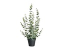 Botanic-Haus Kunstpflanze Eukalyptus 58 cm