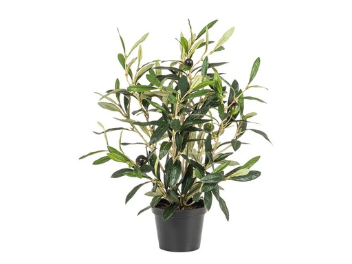 [90217267 1312368] Botanic-Haus Kunstpflanze Olive 34 cm