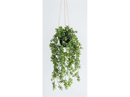 [90217620 1312360] Botanic-Haus Kunstpflanze Eukalyptus hängend 58 cm