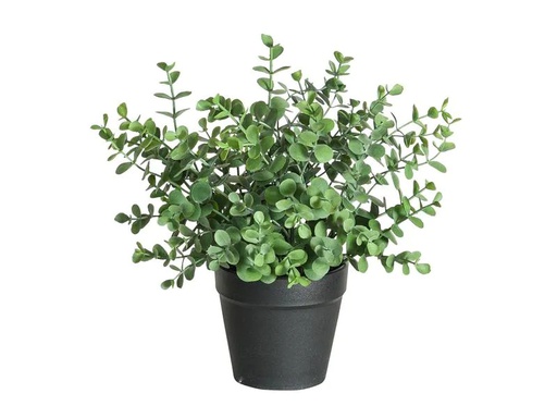 [90217676 1312363] Botanic-Haus Kunstpflanze Eukalyptus 21 cm