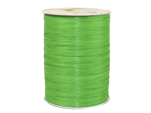 [90220474 1318975] Pattberg Geschenkband Raffia Rayon 100 m, Apfelgrün