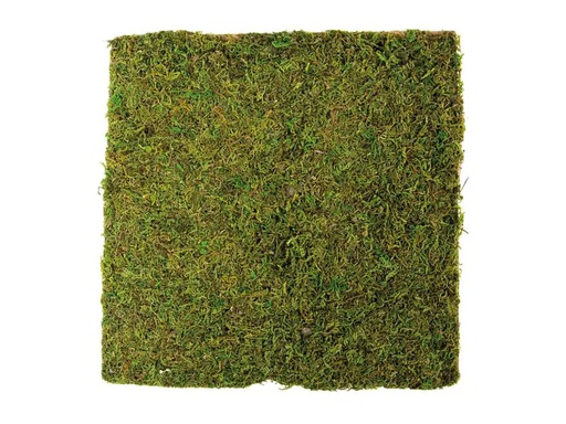 [90223318 1331254] Dekomat AG Moosplatte 30 x 30 cm