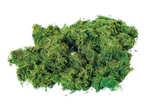 [90223354 1331252] Dekomat AG Moos im Beutel 250 g