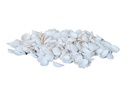 Dekomat AG Muscheln, 300 g Weiss