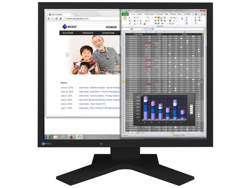 [90036445 478018] EIZO Monitor S1934H Swiss Edition