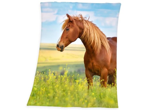 [90231990 1362945] Herding Decke Pferd 130 x 160 cm, Blau/Braun/Grün