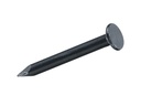 Krafter Kammzwecken, Stahl 1.4 x 7 mm, 300 Stück