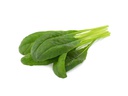 Click and Grow Samen Mibuna