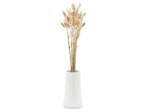 [90236270 1382286] Soli Collection Trockenblumen Lagurus 50-60 cm, Naturfarben