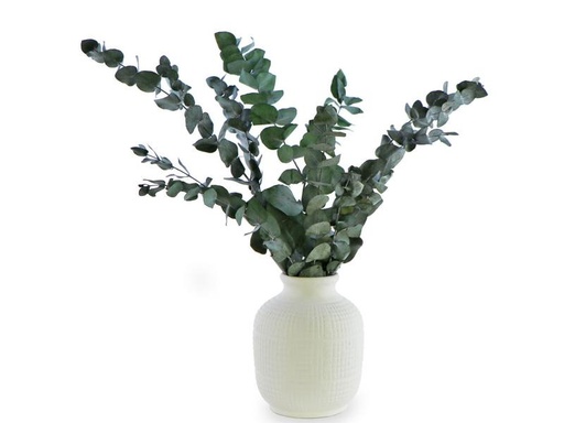 [90236276 1382285] Soli Collection Trockenblumen Eukalyptus 40-55 cm, Grün