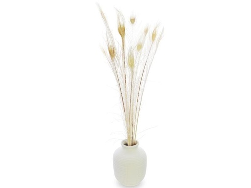 [90236300 1382289] Soli Collection Pfaufedern 90 cm, Weiss