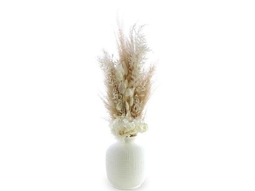 [90236305 1382261] Soli Collection Trockenblumen All White 65 cm, Weiss
