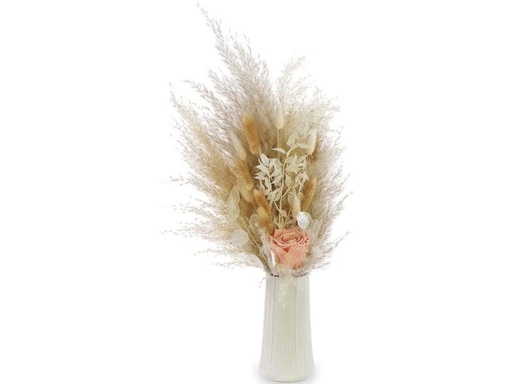 [90236314 1382264] Soli Collection Trockenblumen Peach 60 cm, Weiss